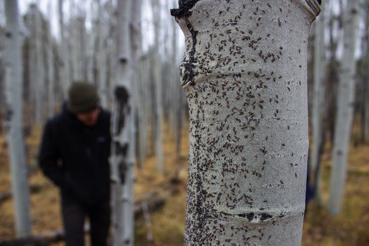 ARCS Scholar Connor Crouch ARCS Scholar Connor Crouch