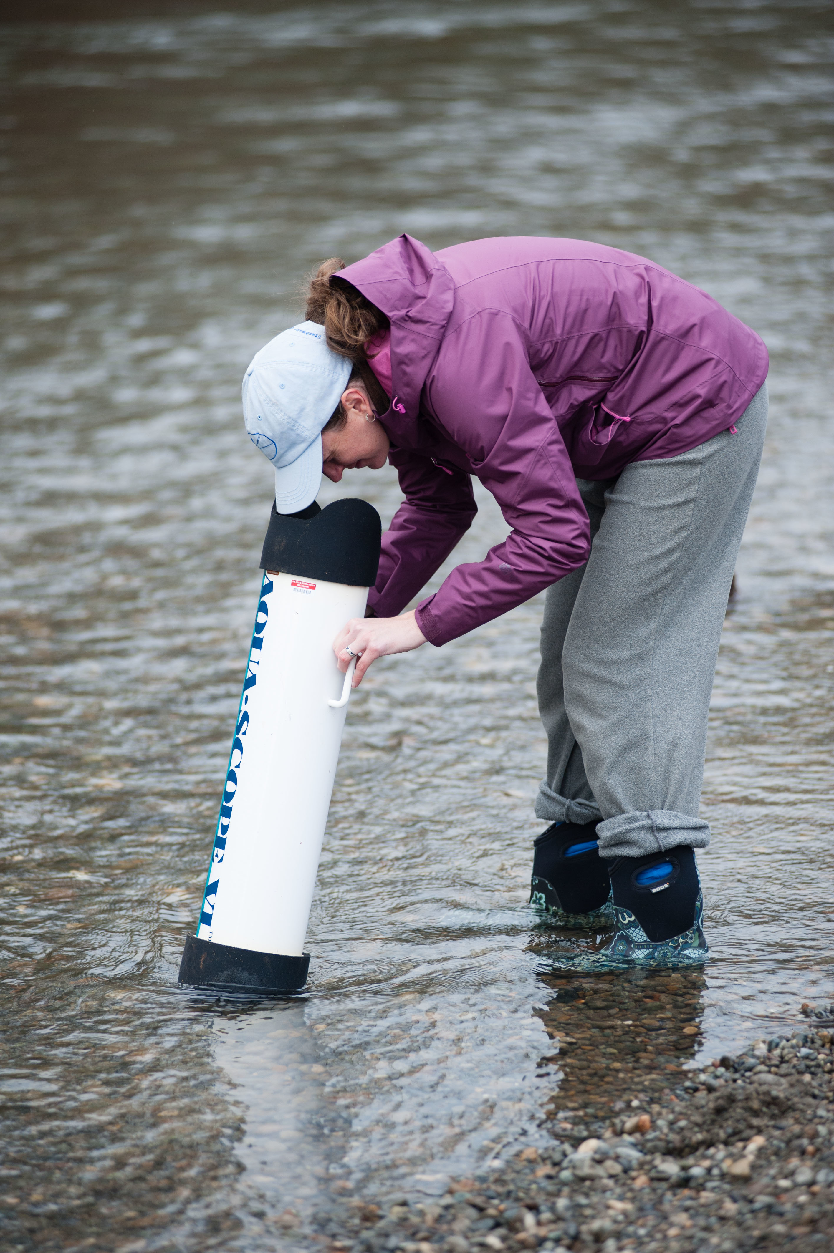 : Dr. Carri LeRoy analyzes stream particles looking through an aquascope : Dr. Carri LeRoy analyzes stream particles looking through an aquascope