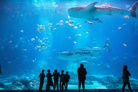 2022 AMC Tours 2022 AMC Tours