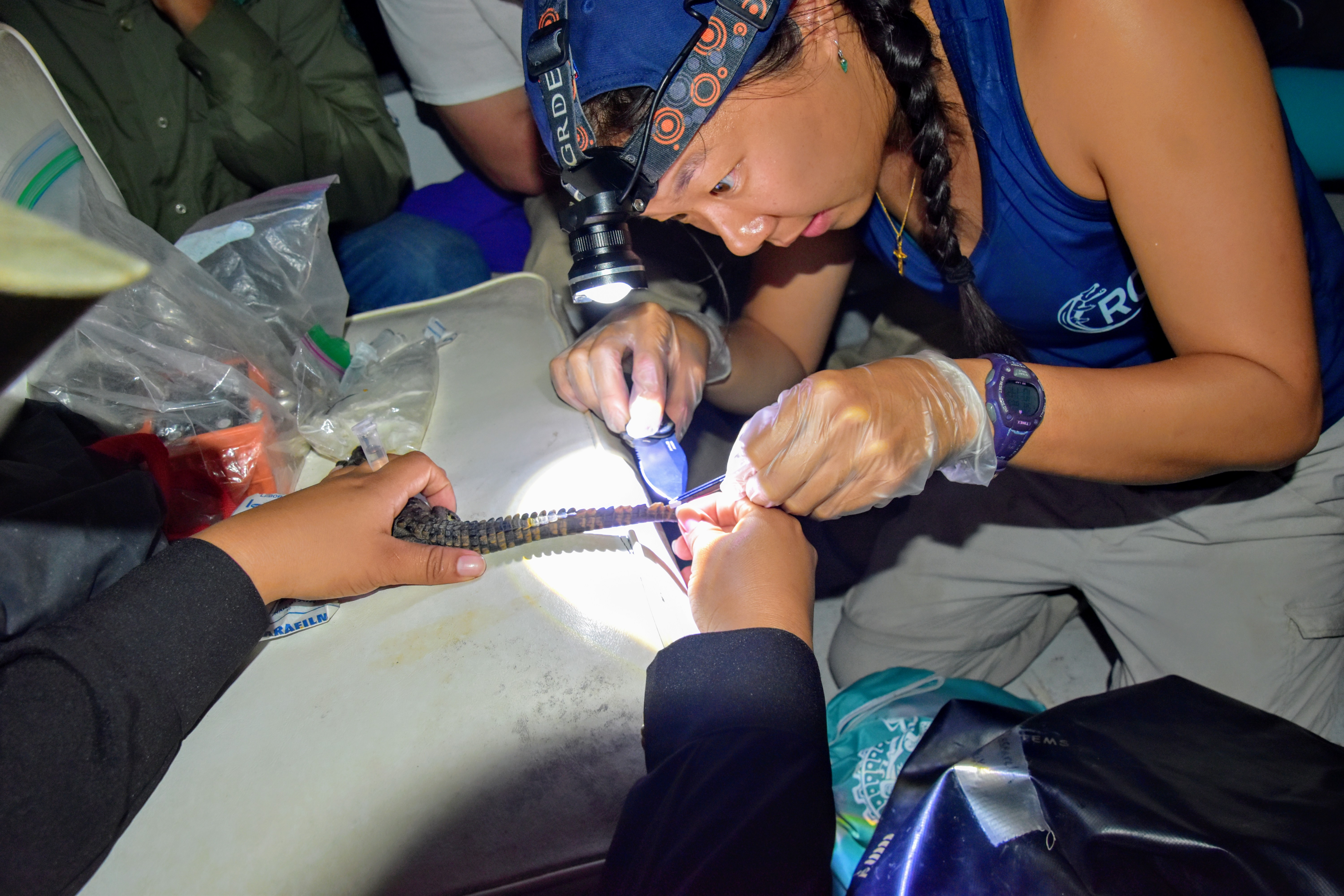 Helen Sung ARCS Scholar Helen Sung ARCS Scholar