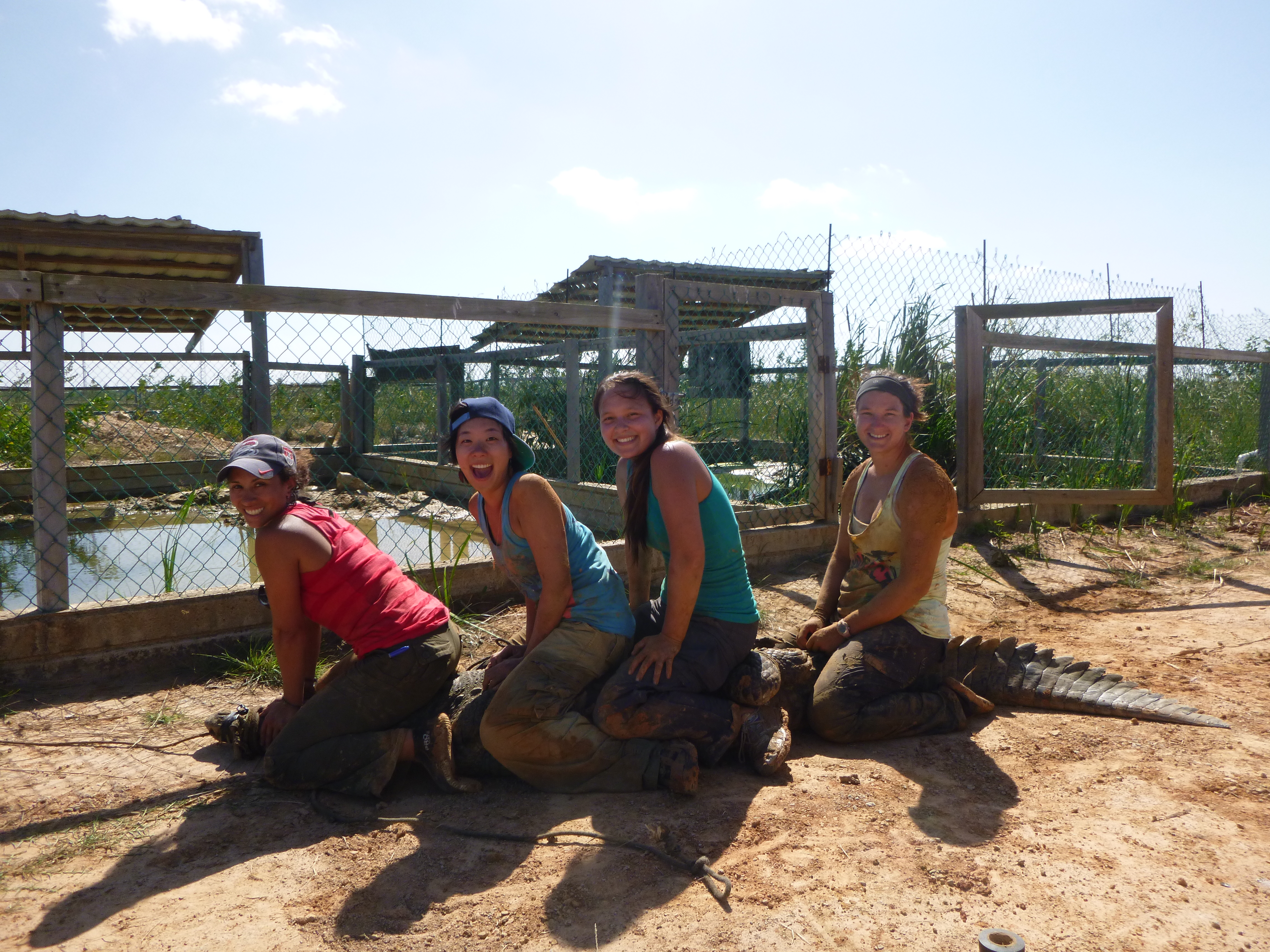 Helen Sung ARCS Scholar Helen Sung ARCS Scholar