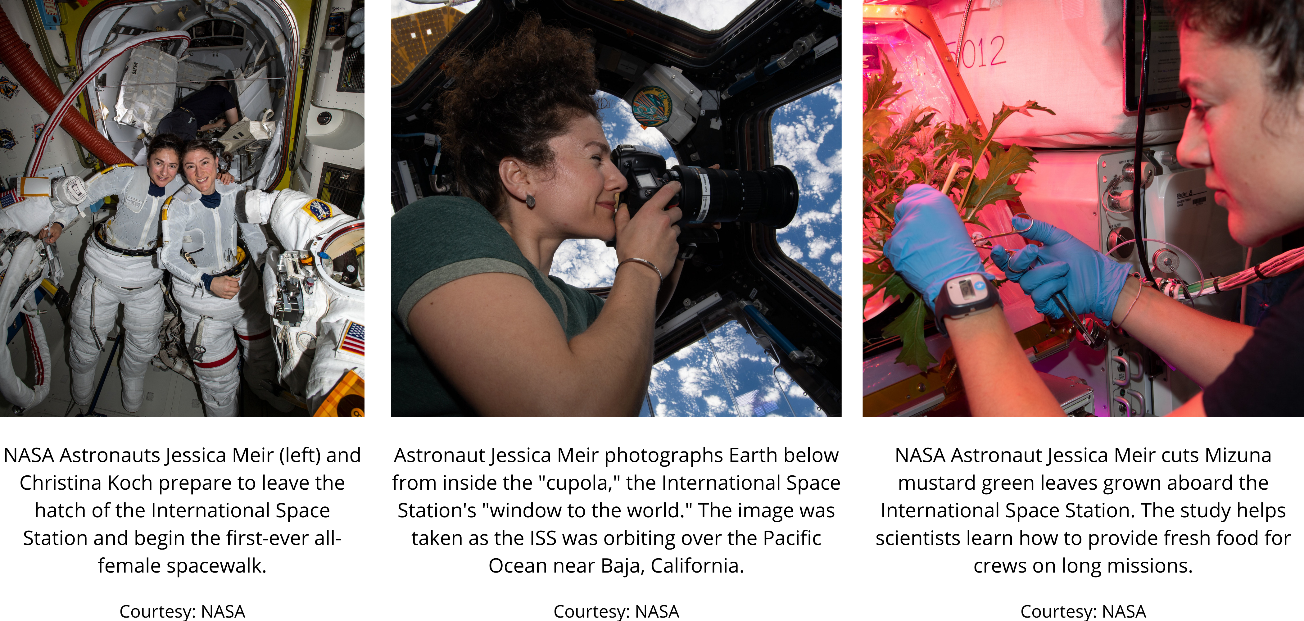 Astronaut Jessica Meir, ARCS Hall of Fame Member Astronaut Jessica Meir, ARCS Hall of Fame Member