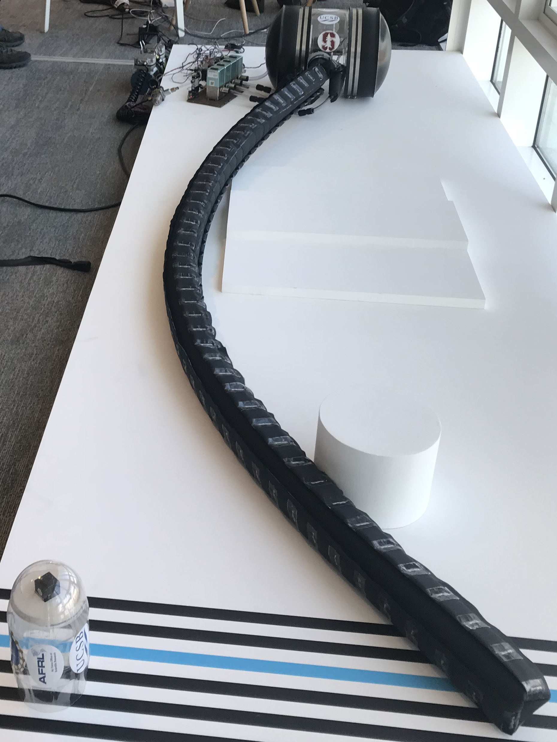 Margaret Coad, ARCS Foundation Margaret Coad, ARCS Foundation