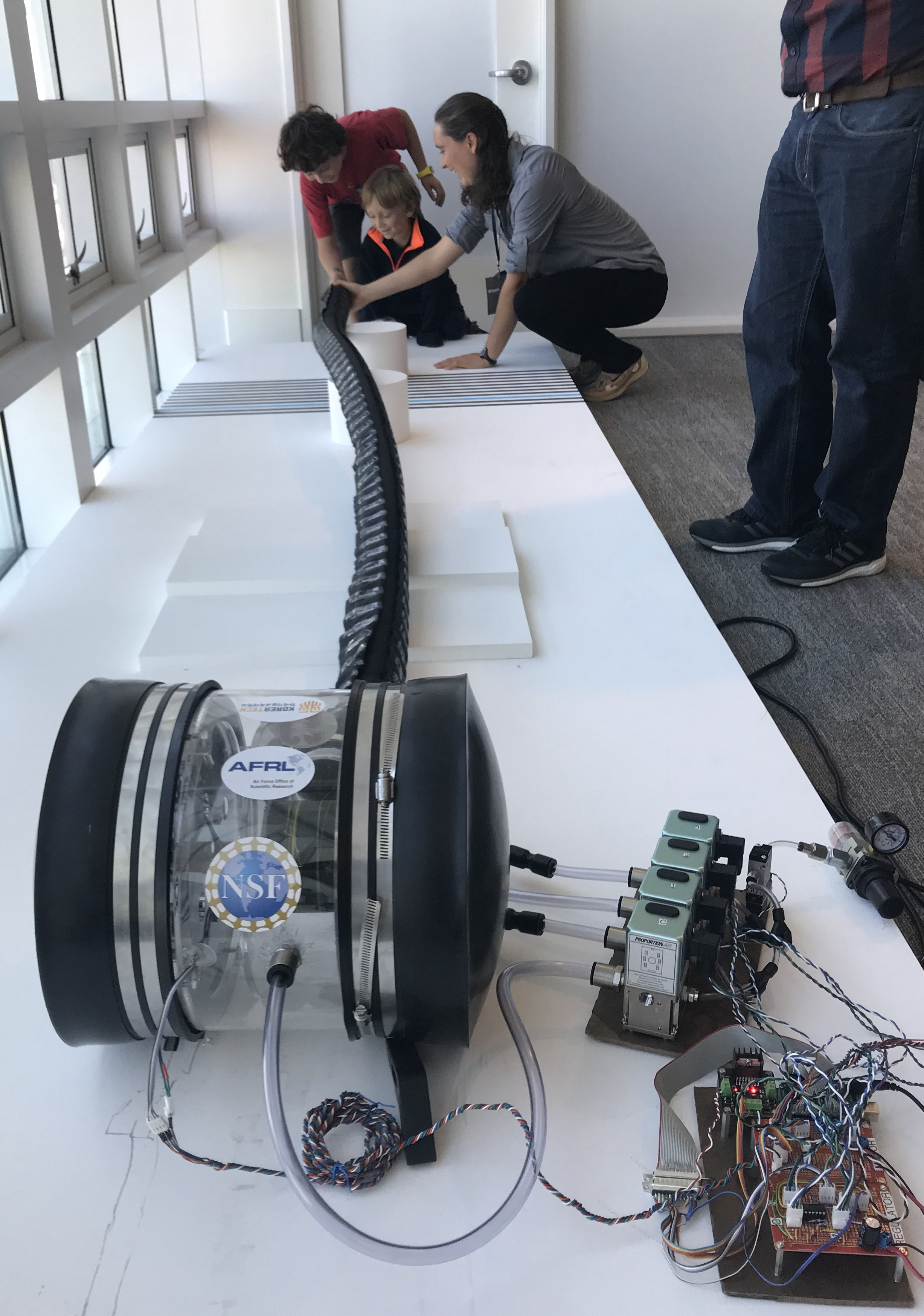 Margaret Coad, ARCS Foundation Margaret Coad, ARCS Foundation