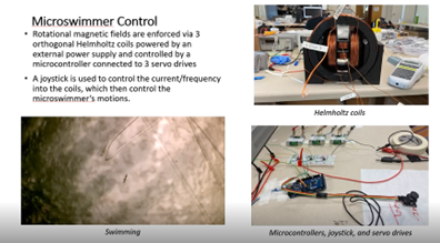 Tony Wang Presentation 