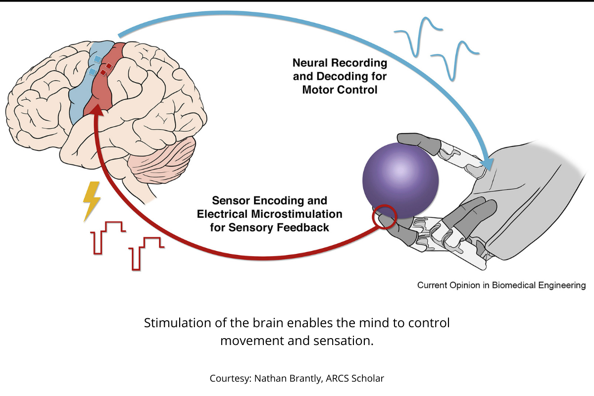Nathan Brantly, ARCS Foundation Nathan Brantly, ARCS Foundation