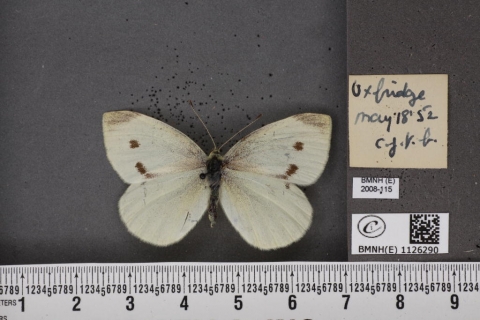 ARCS Alumna Carly Jordan ARCS Alumna Carly Jordan